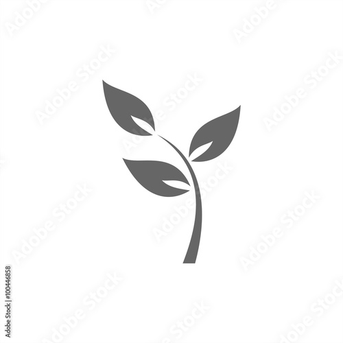 Icono aislado de una hoja
