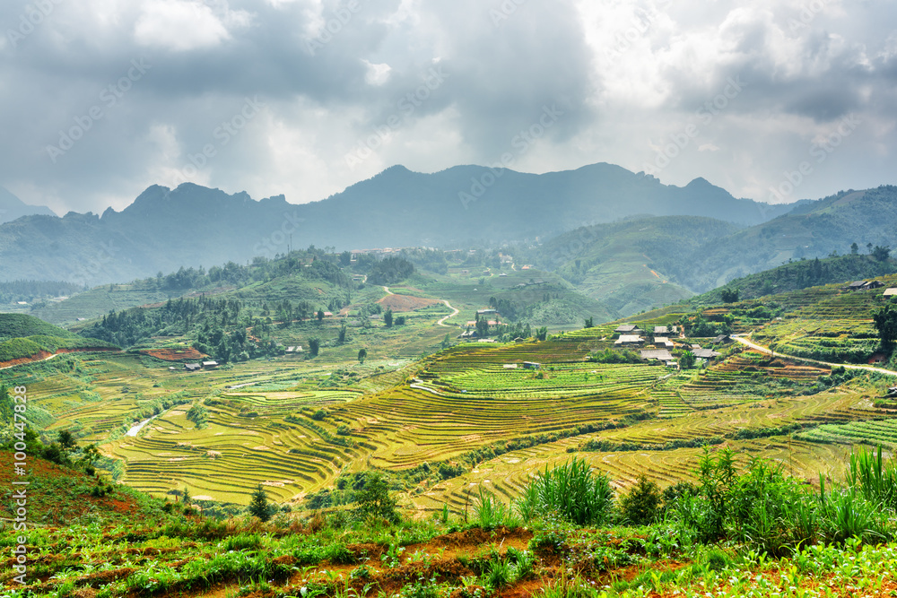 Scenic view of green rice terraces at highlands of Vietnam