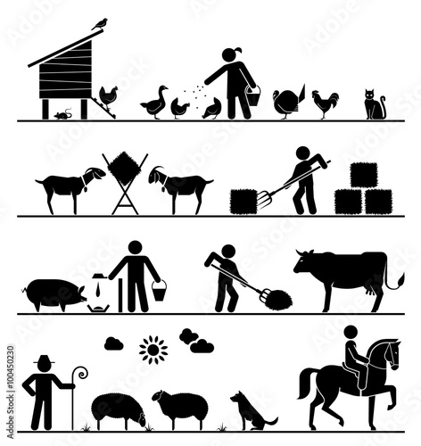 Pictogram icons presenting feeding of domestic animals on the fa