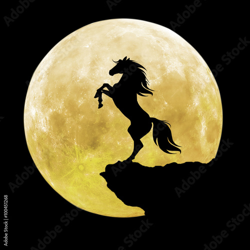 Fototapeta Naklejka Na Ścianę i Meble -  black horse silhouette