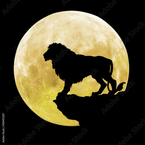 Fototapeta Naklejka Na Ścianę i Meble -  black lion in front of the moon