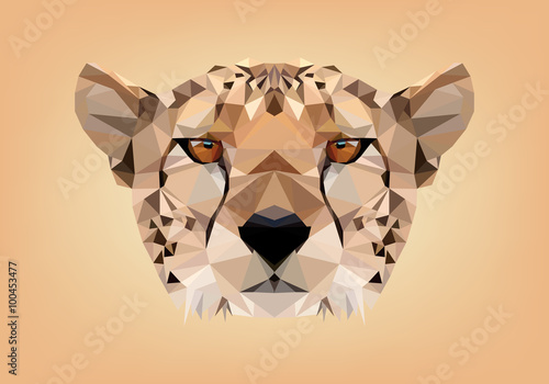 ghepardo low poly