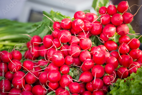 Fresh Radish