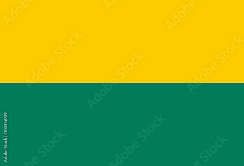 Vlag de gemeente Den Haag