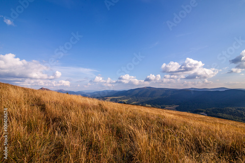 Fototapeta Naklejka Na Ścianę i Meble -  Połonina Wetlińska - Bieszczady