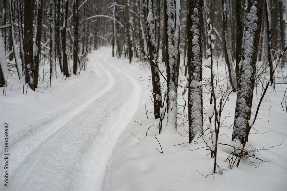 Obraz premium Road in the snowy forest, Winter, Russia
