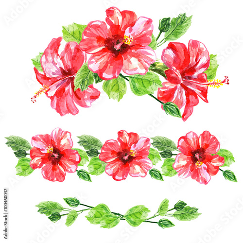 Set of red watercolor Hibiscus flower.