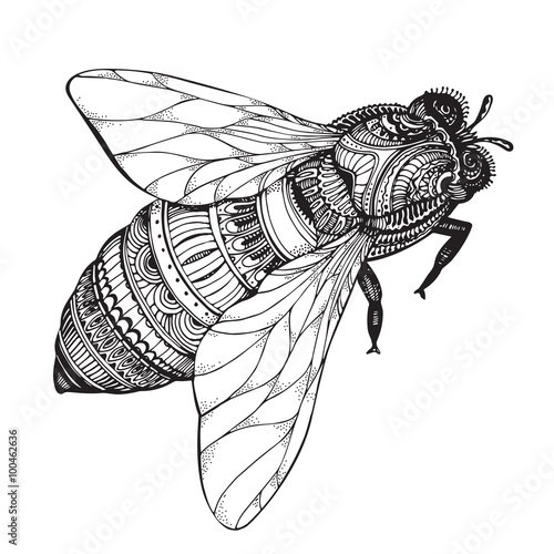 Hand drawn honey bee in zentangle style.
