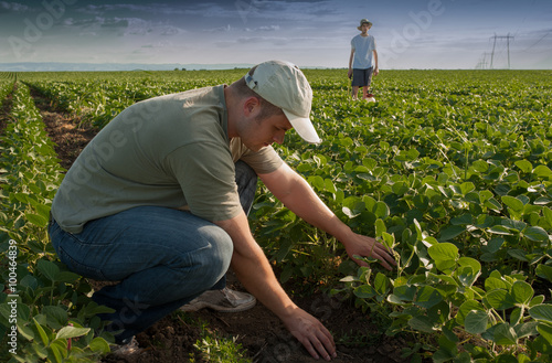 Young farmers on soybean field