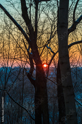 Wschodzące słońce pomiędzy konarami drzew