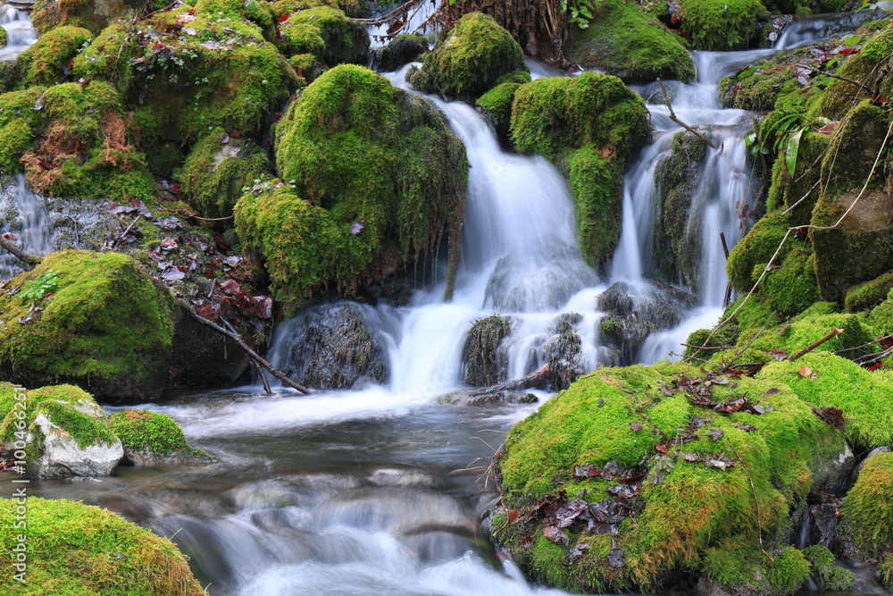 Obraz premium Mountain stream among the mossy stones
