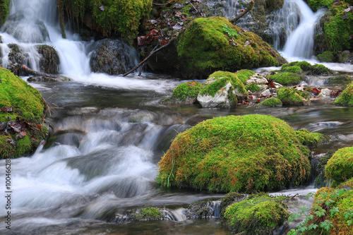 Mountain stream among the mossy stones