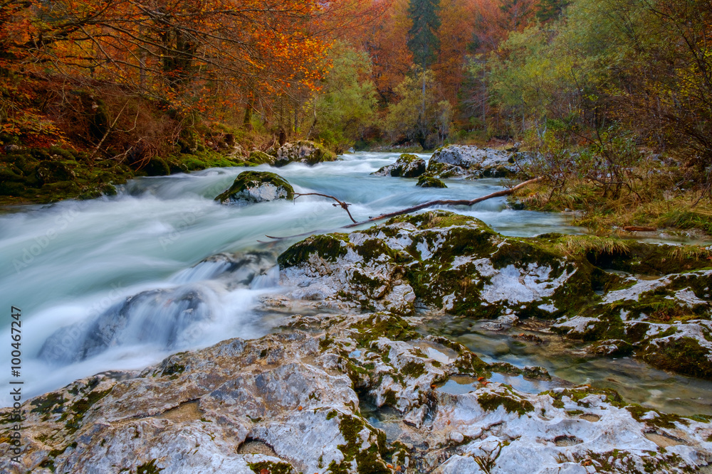 Amazing river in the mountains, Mostnica Korita, Julia alps