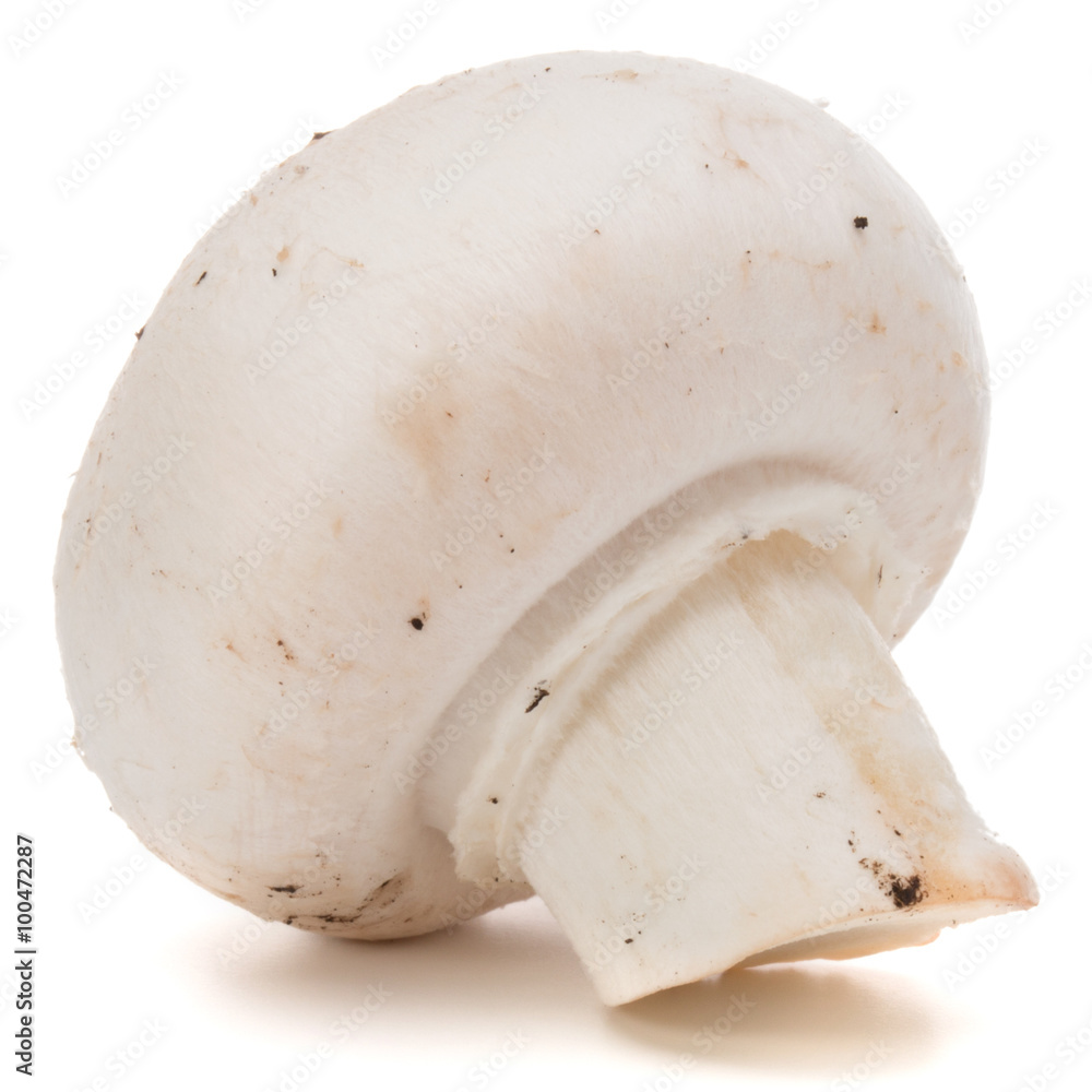 Champignon isolated on white background cutout Champignon isolated on white background cutout