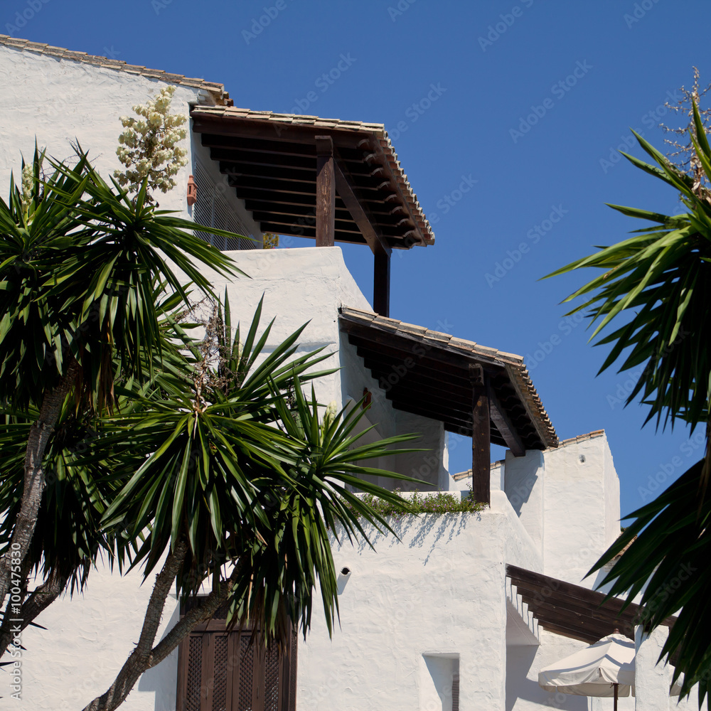 Fototapeta premium white architecture palm tree holidays