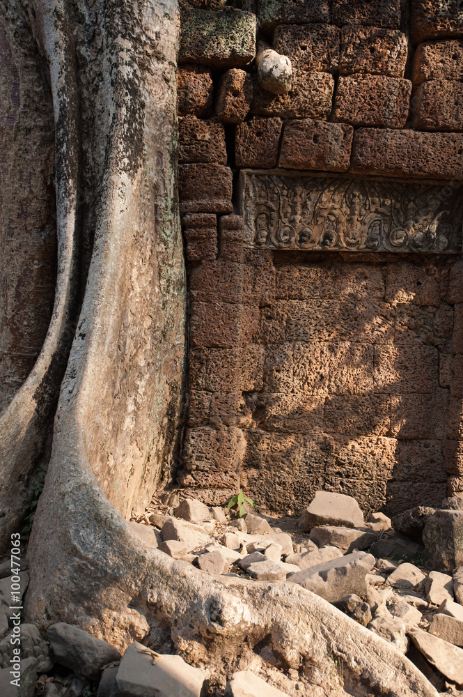 Tree roots cutting into the a wall at Ta Phrom ruined temple at Angkor Wat, Cambodia Tree roots cutting into the a wall at Ta Phrom ruined temple at Angkor Wat, Cambodia