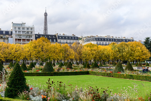 Autumn in Paris , town homes among yellow trees in the background Eiffel tower
