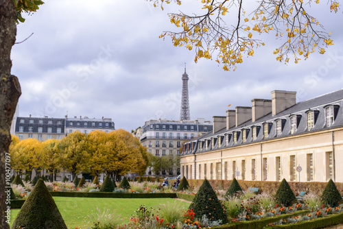 View of the Eiffel Tower for the autumn branches , located in front of the War Museum at Les Invalides in Paris esplanade . photo