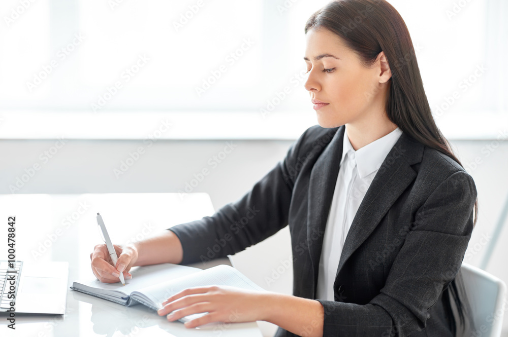 Young beautiful business woman working in the office Young beautiful business woman working in the office