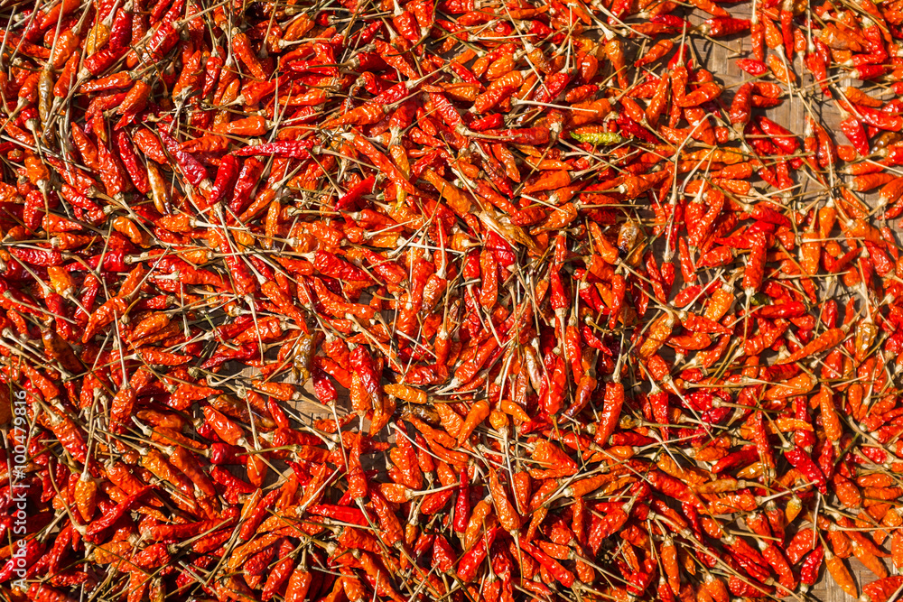 Fototapeta premium Karen hill tribe chilli's drying in the sun