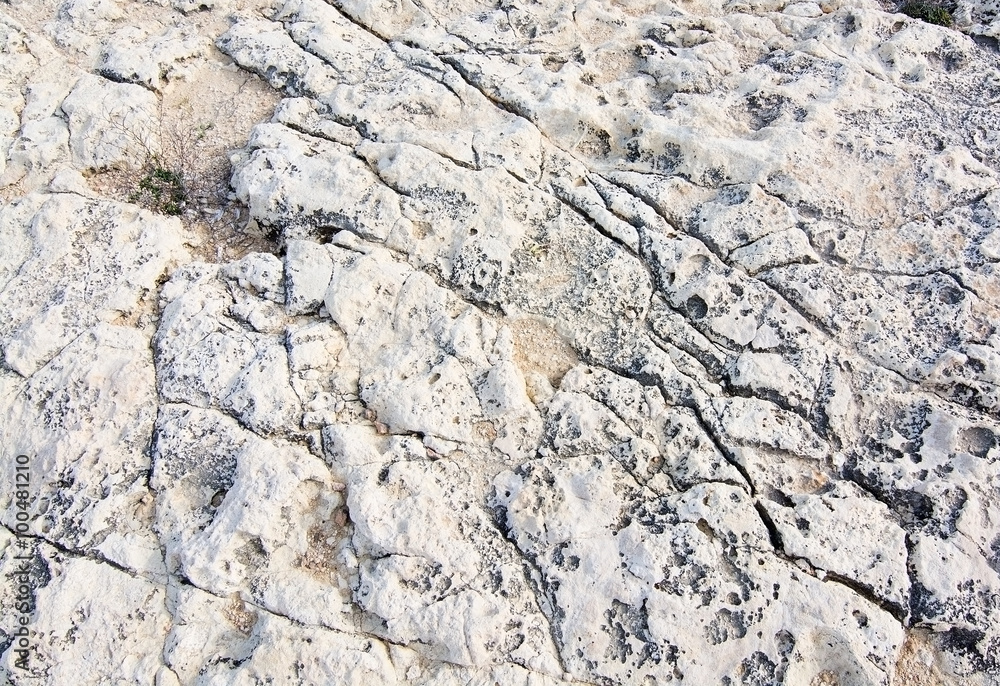 Textured limestone background Textured limestone background