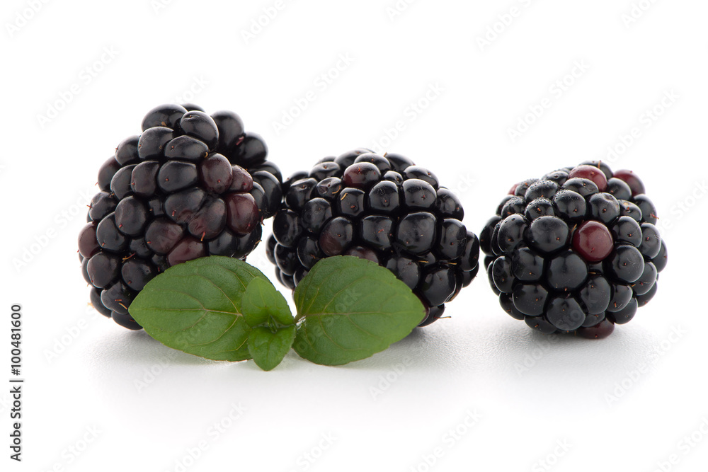 Blackberries with leaves Blackberries with leaves
