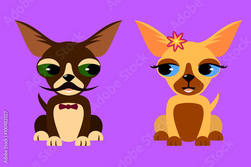 Flat vector image of Chihuahua couple