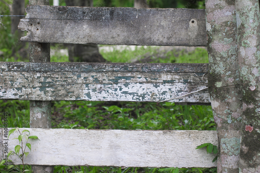 Broken fence Broken fence