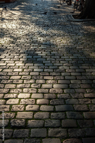 Vászonkép Ancient stone roadbed as background.