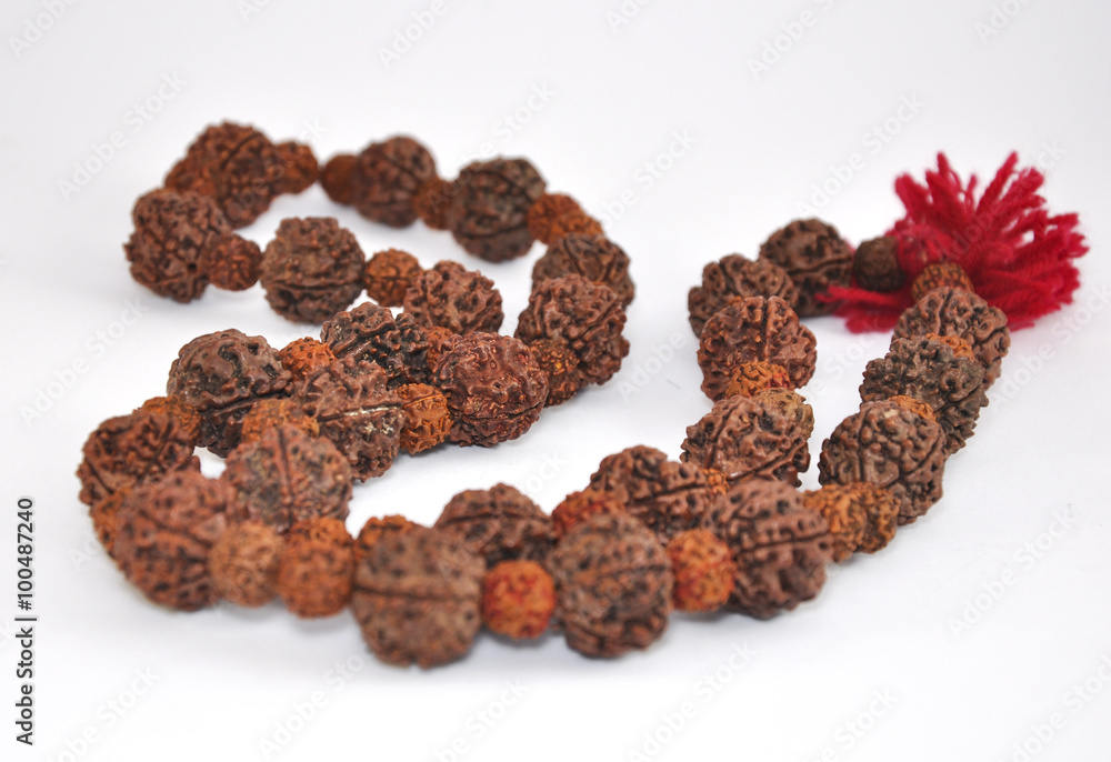 Obraz premium Tibetan bead-Rudraksha