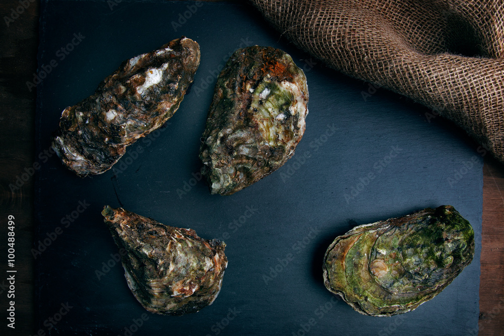 Oysters Oysters