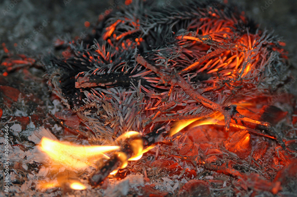 fir branches burning at a fireplace fir branches burning at a fireplace