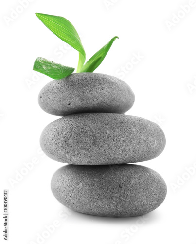 Grey spa stones and green flower, isolated on white