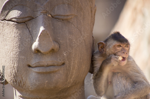 Crab eating macaque on Buddha statue