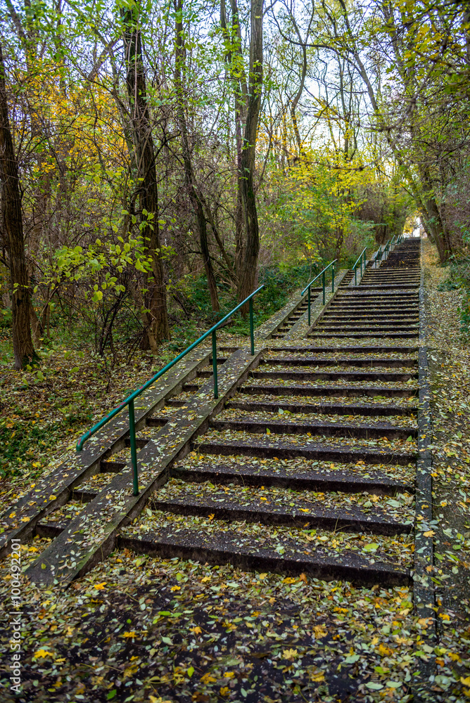 Long concrete stairs in forrest park at autumn covered by leafs