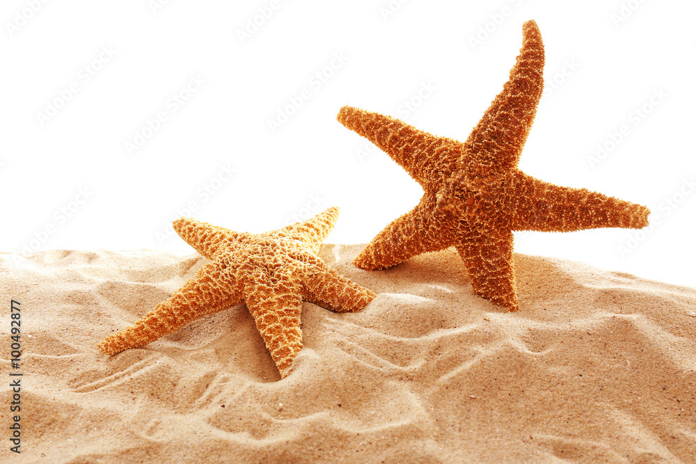 Big beautiful starfishes on sand against white background Big beautiful starfishes on sand against white background