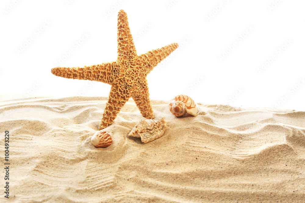 Sea star and shells isolated on white background Sea star and shells isolated on white background