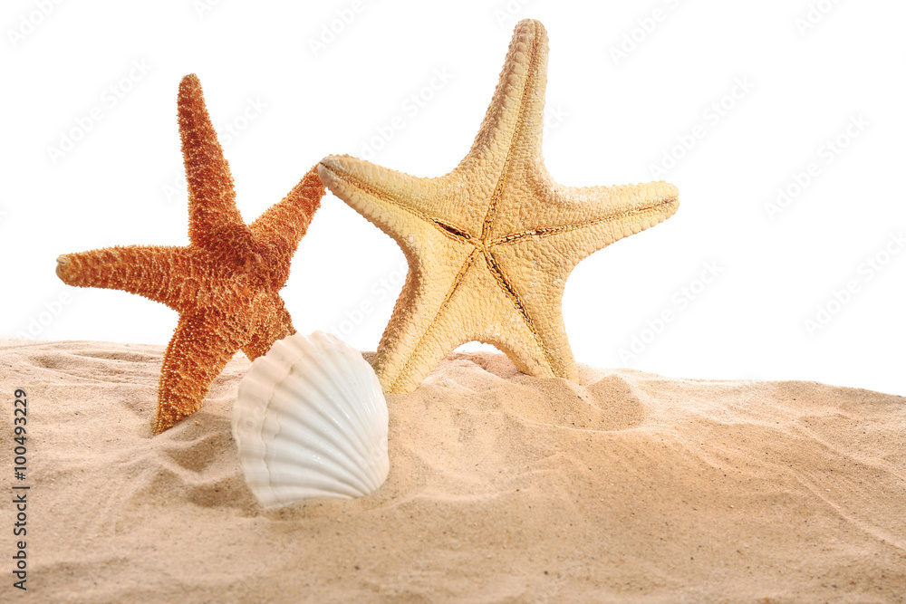 Sea stars and sea shells on sand isolated on white background Sea stars and sea shells on sand isolated on white background