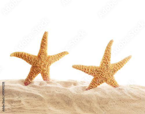 Sea stars on sand isolated on white