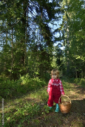 The little girl walking on the summer forest with a basket