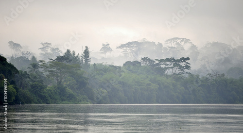 Sangha River. Morning fog on the African river Sangha. Congo. photo