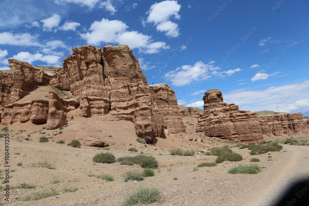 Fototapeta premium На страже