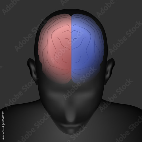 right brain and left brain, human head front top view, vector illustration
