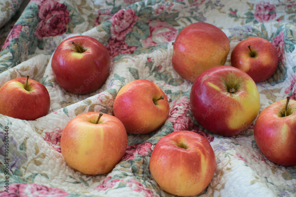 apples on the flower pattern plaid apples on the flower pattern plaid