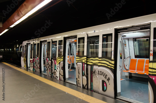 painted graffiti  subway car, Rome