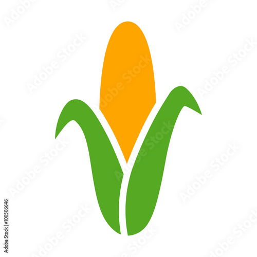 Ear of corn / maize flat color icon for food apps and websites