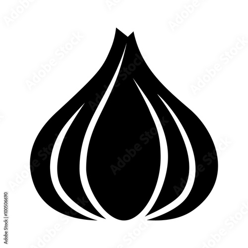 Garlic bulb / allium sativum flat icon for food apps and websites