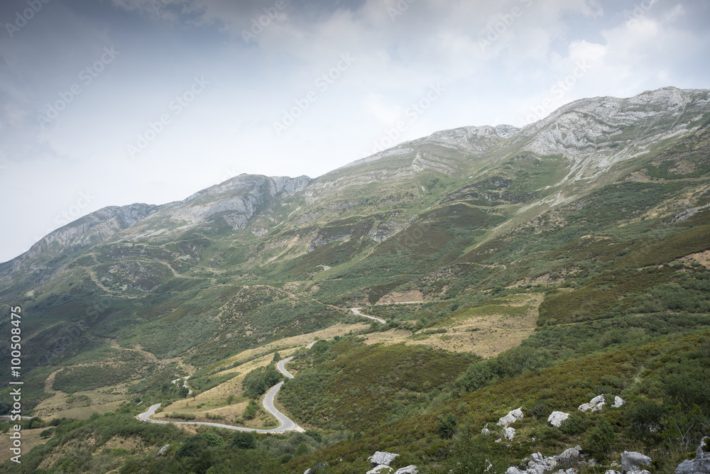 Obraz premium Heathlands in Saliencia Valley, Somiedo Nature Reserve. It is located in the central area of the Cantabrian Mountains in the Principality of Asturias in northern Spain