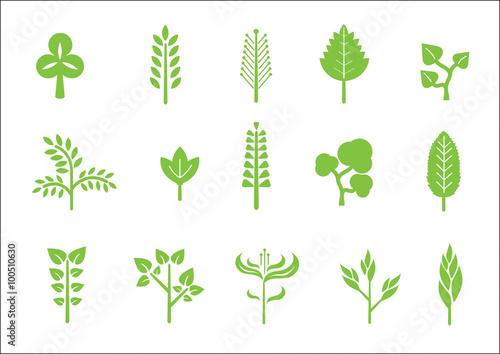 leaf set