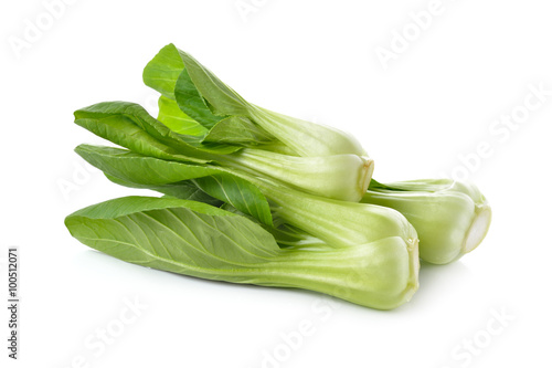 fresh baby Bok choy (Chinese cabbage) on white background